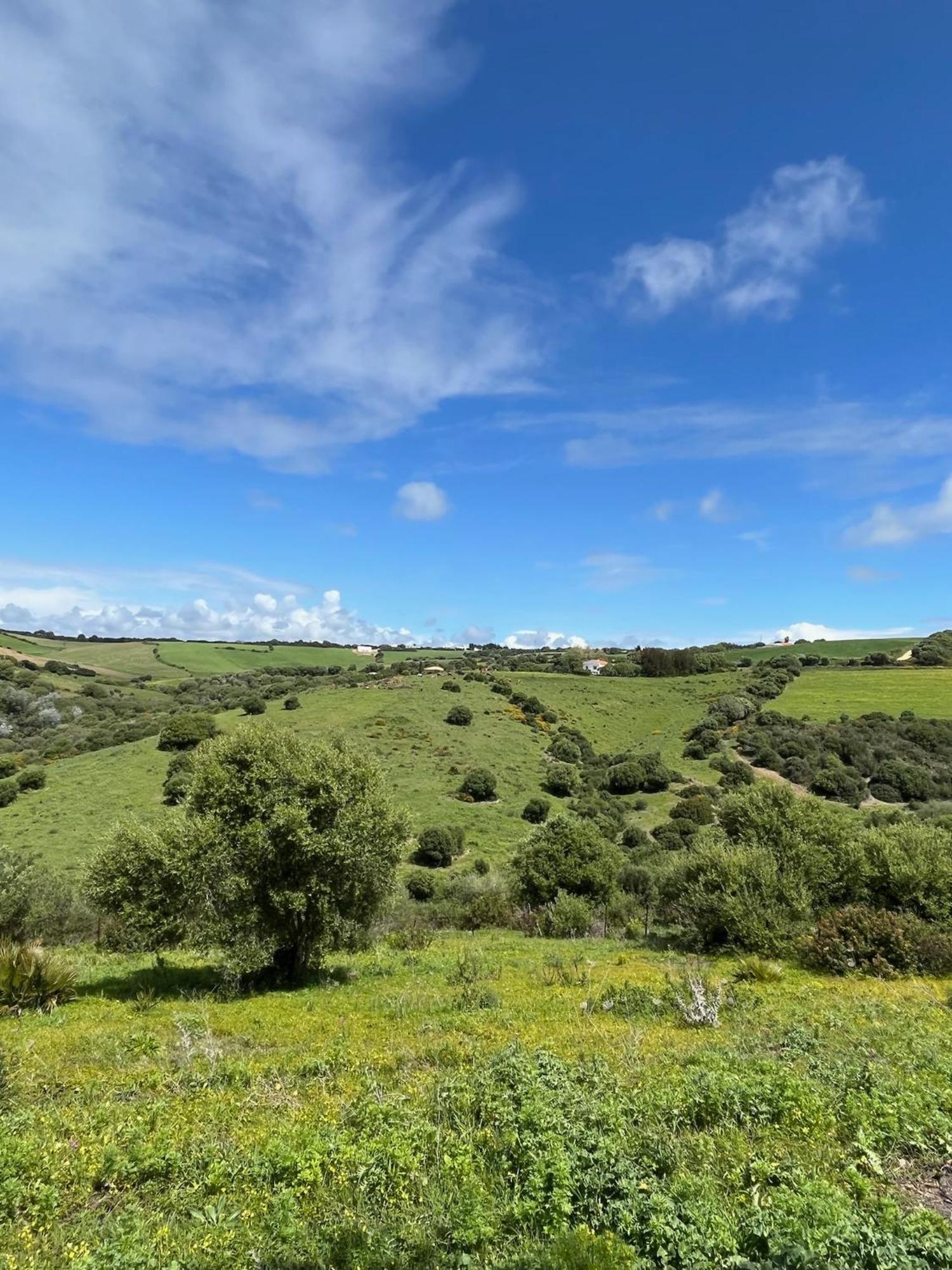 Finca La Vina Vejer de la Frontera Luaran gambar