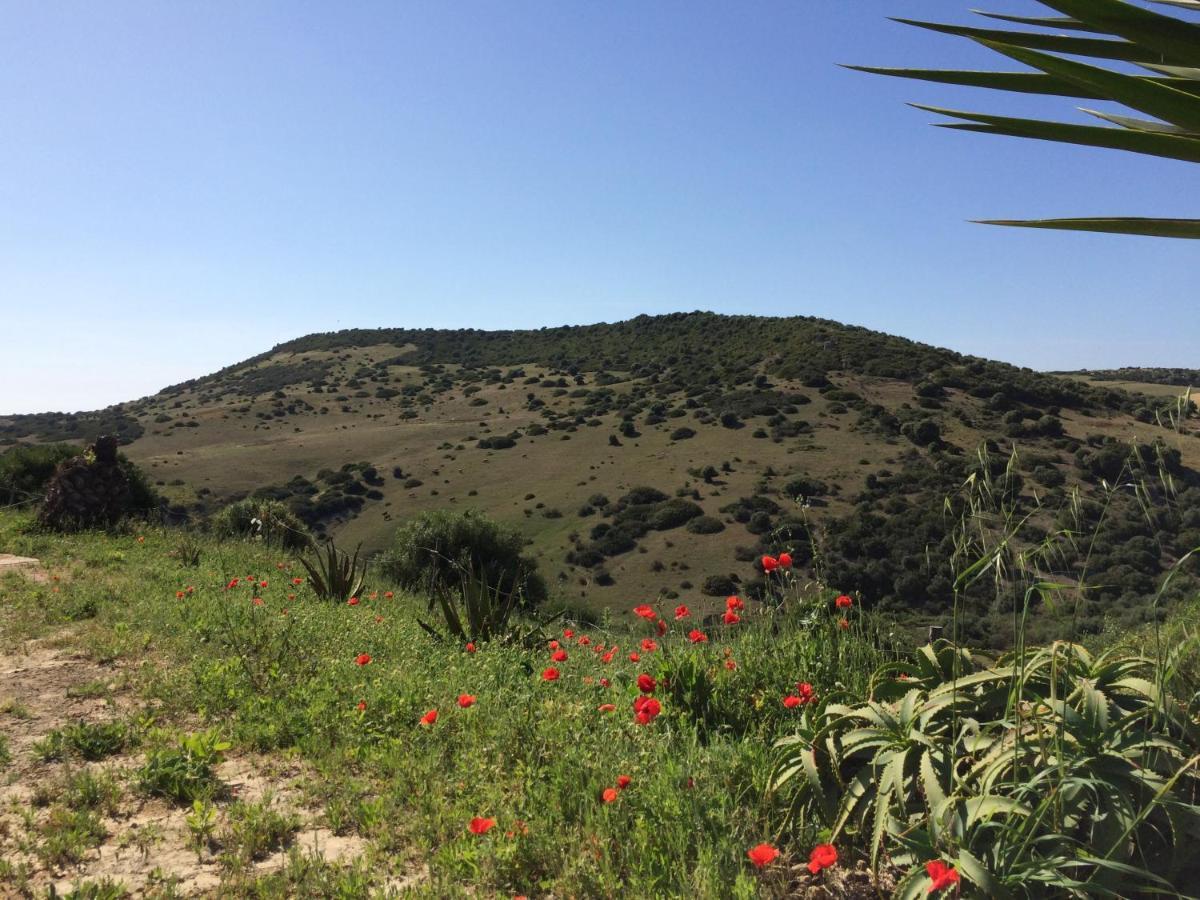 Finca La Vina Vejer de la Frontera Luaran gambar